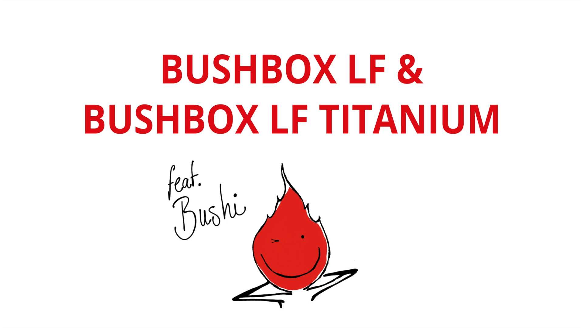 Bushis Tipps & Tricks zur Bushbox LF